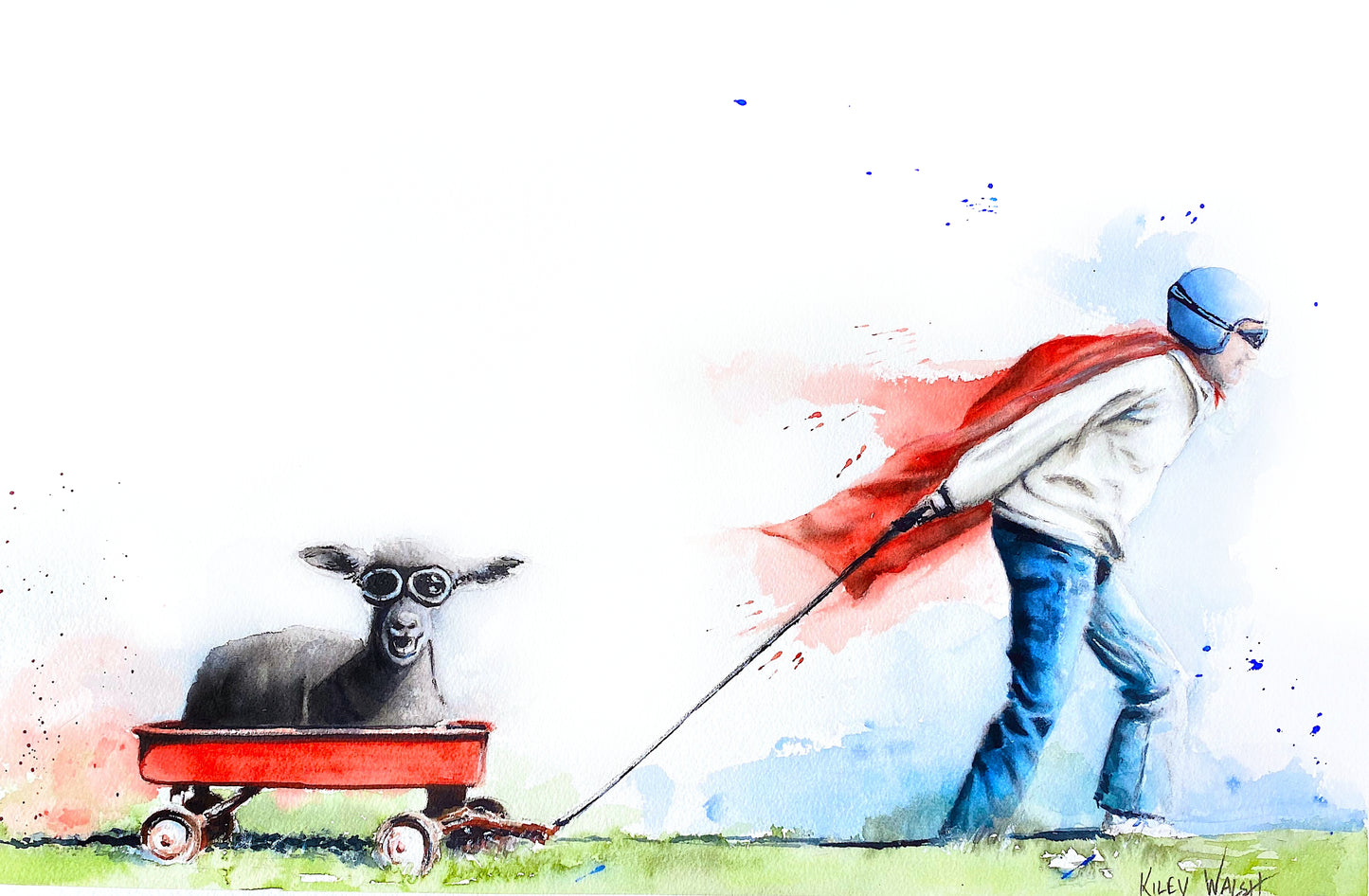 "BLACK SHEEP"
